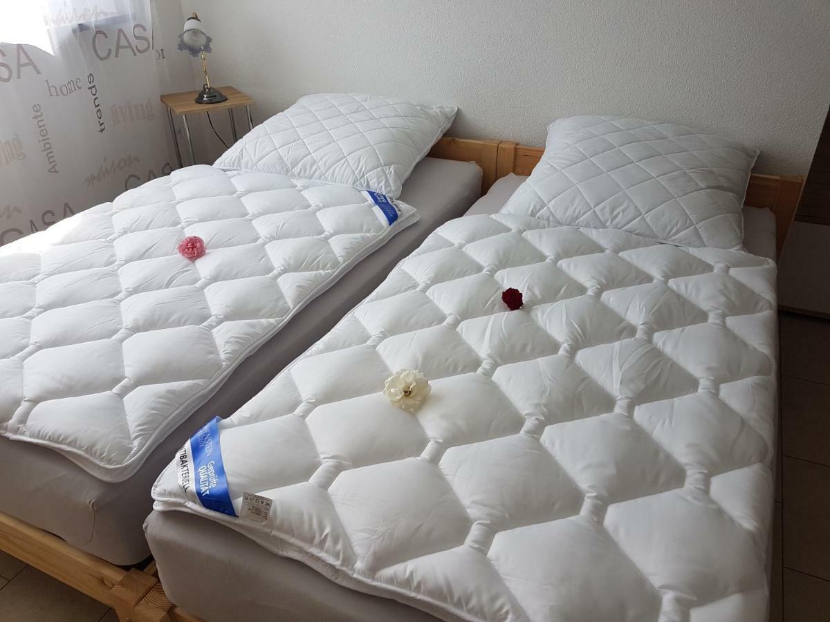 Appartement Storchennest à Bad Säckingen Extérieur photo